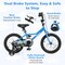 Blue Dual Brakes Kids Bicycle with Carbon Steel Frame and Training Wheels Perfect for All Terrains